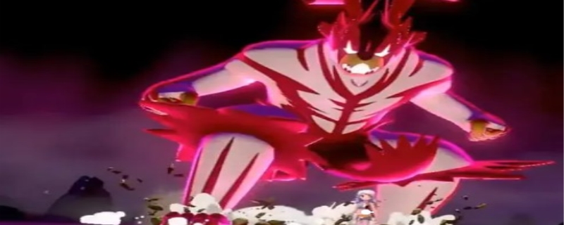 武道熊师是神兽吗