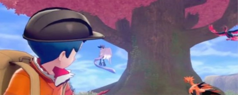 宝可梦剑盾急冻鸟