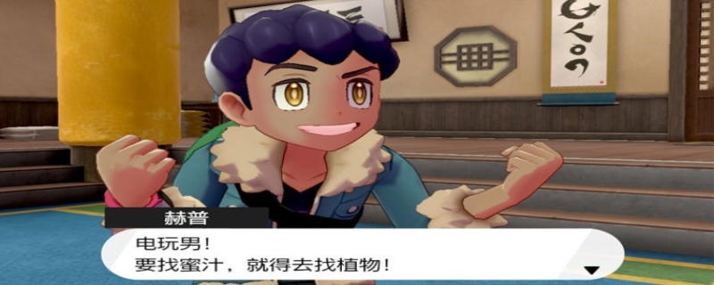 口袋妖怪剑盾铠之孤岛