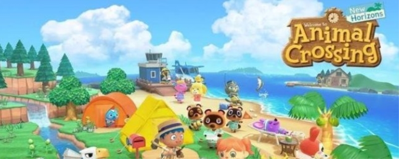 大头菜怎么种动物之森