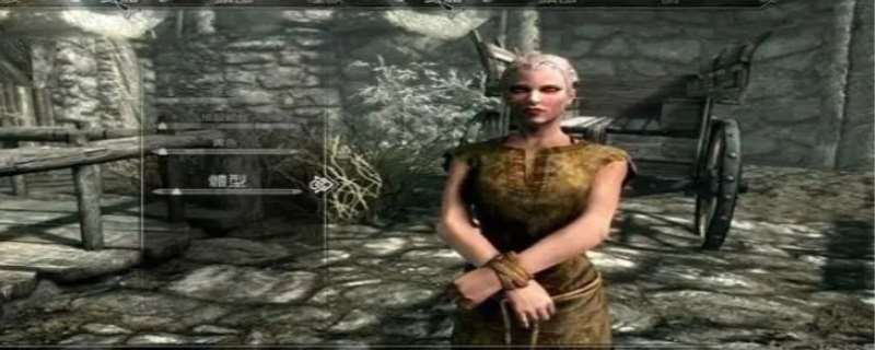 上古卷轴5任务攻略