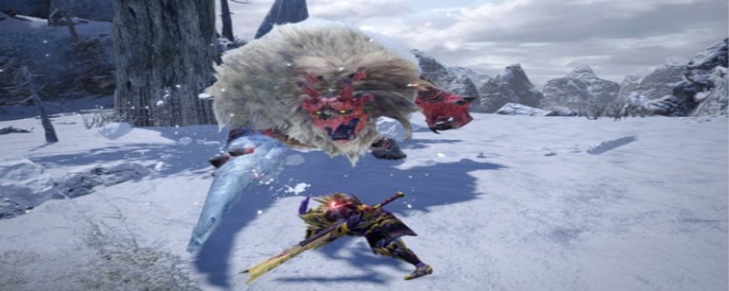 怪物猎人崛起怎么捕获怪物