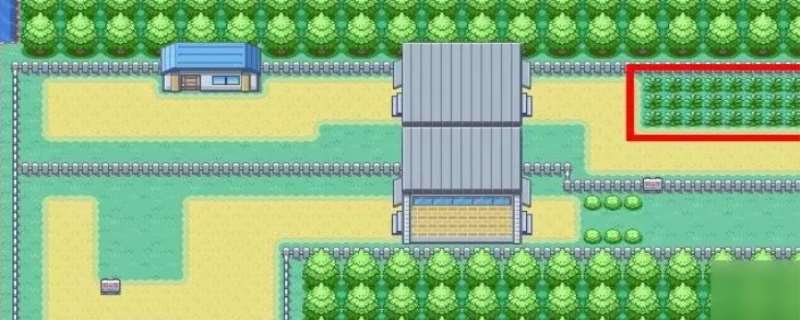 口袋妖怪叶绿图文攻略