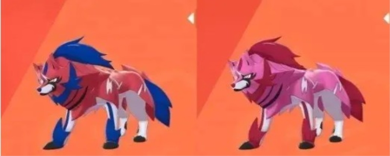 藏玛然特怎么捉