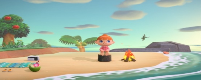 动物之森的贝壳有什么用