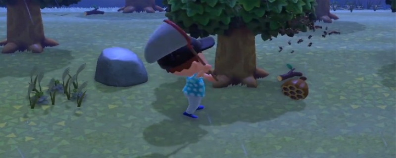 动物之森的鱼怎么处理