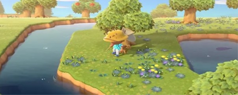 集合啦动物森友会攻略大全