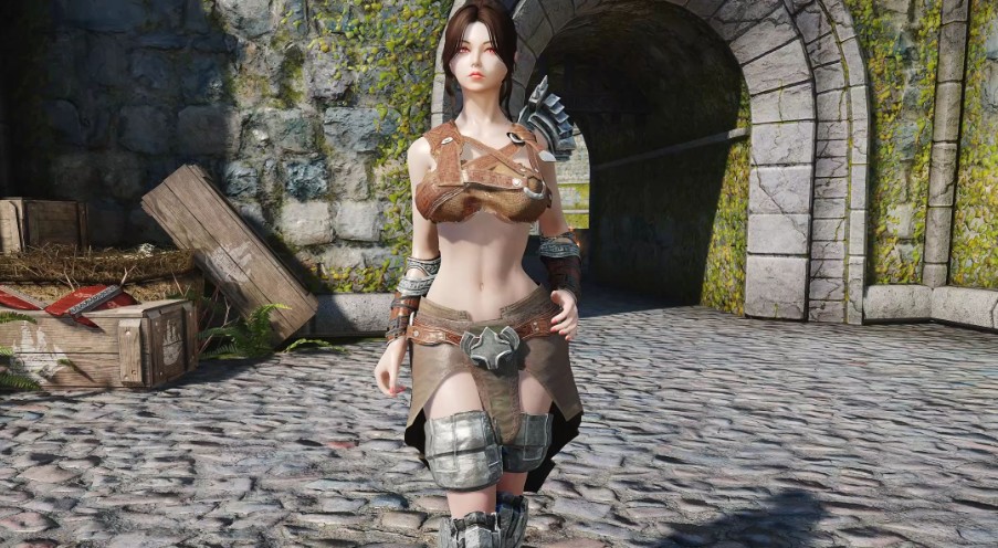 上古卷轴5女战士随从mod