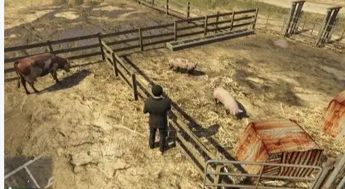 gta5拍动物有哪些玩法