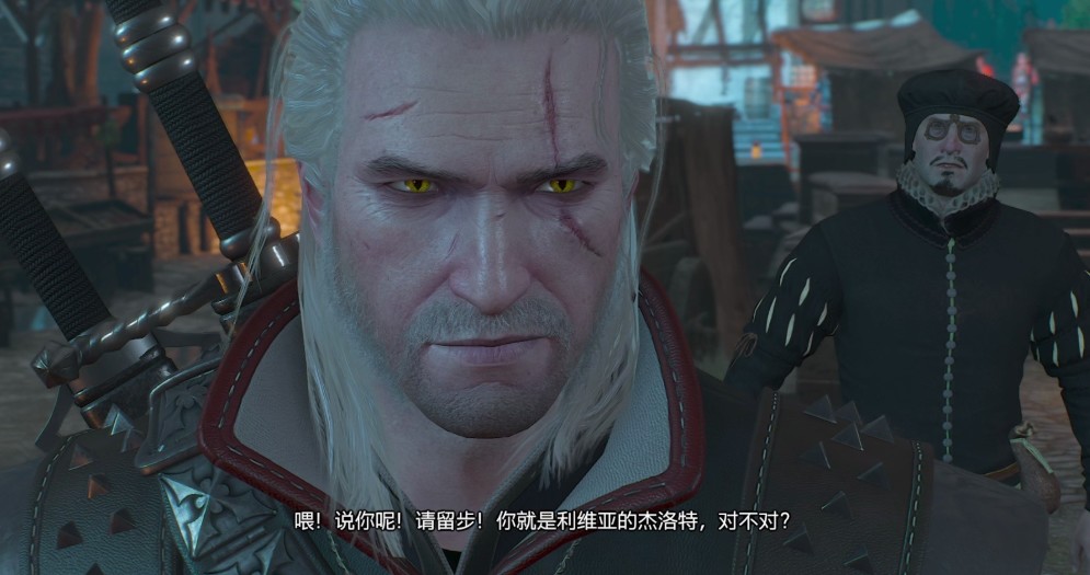 巫师3画作代码有哪些